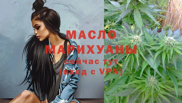 индика Абаза