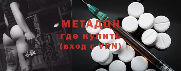 индика Абаза