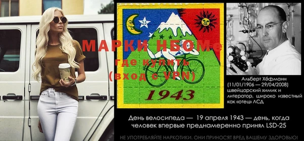 индика Абаза