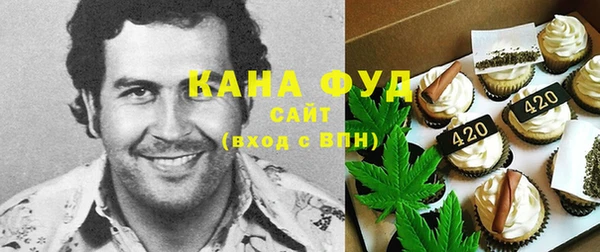 индика Абаза